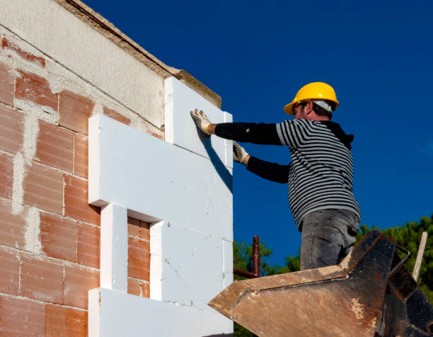 Best Cellulose Insulation in Hampton, TN